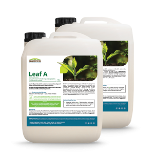 Leaf A+B