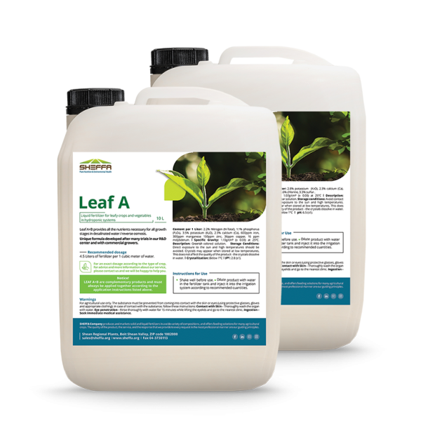 Leaf A+B