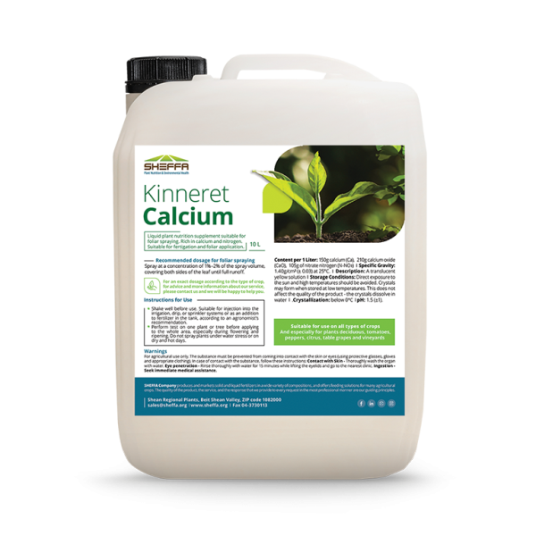 Kinneret calcium