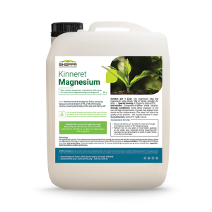 Kinnert Magnesium
