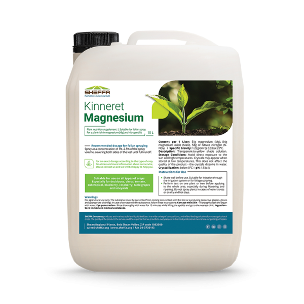 Kinnert Magnesium