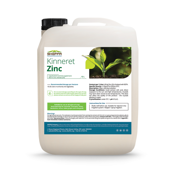 Kinnert Zinc