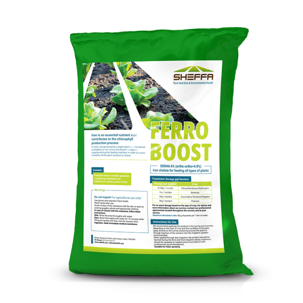 FerruBoost